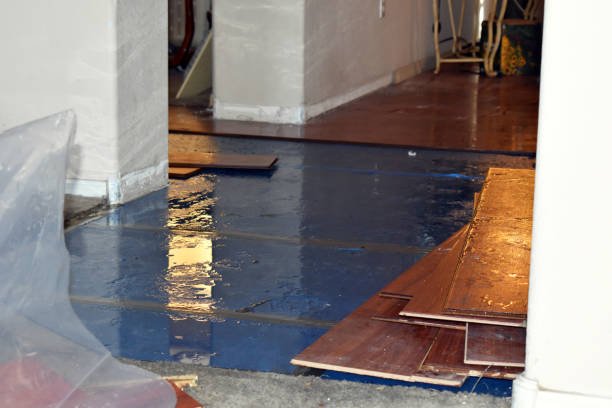 Professional Water Damage technician working in North Fort Myers, FL